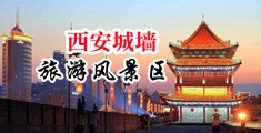 骚逼逼av中国陕西-西安城墙旅游风景区